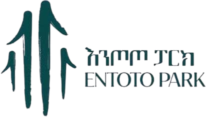 egovt